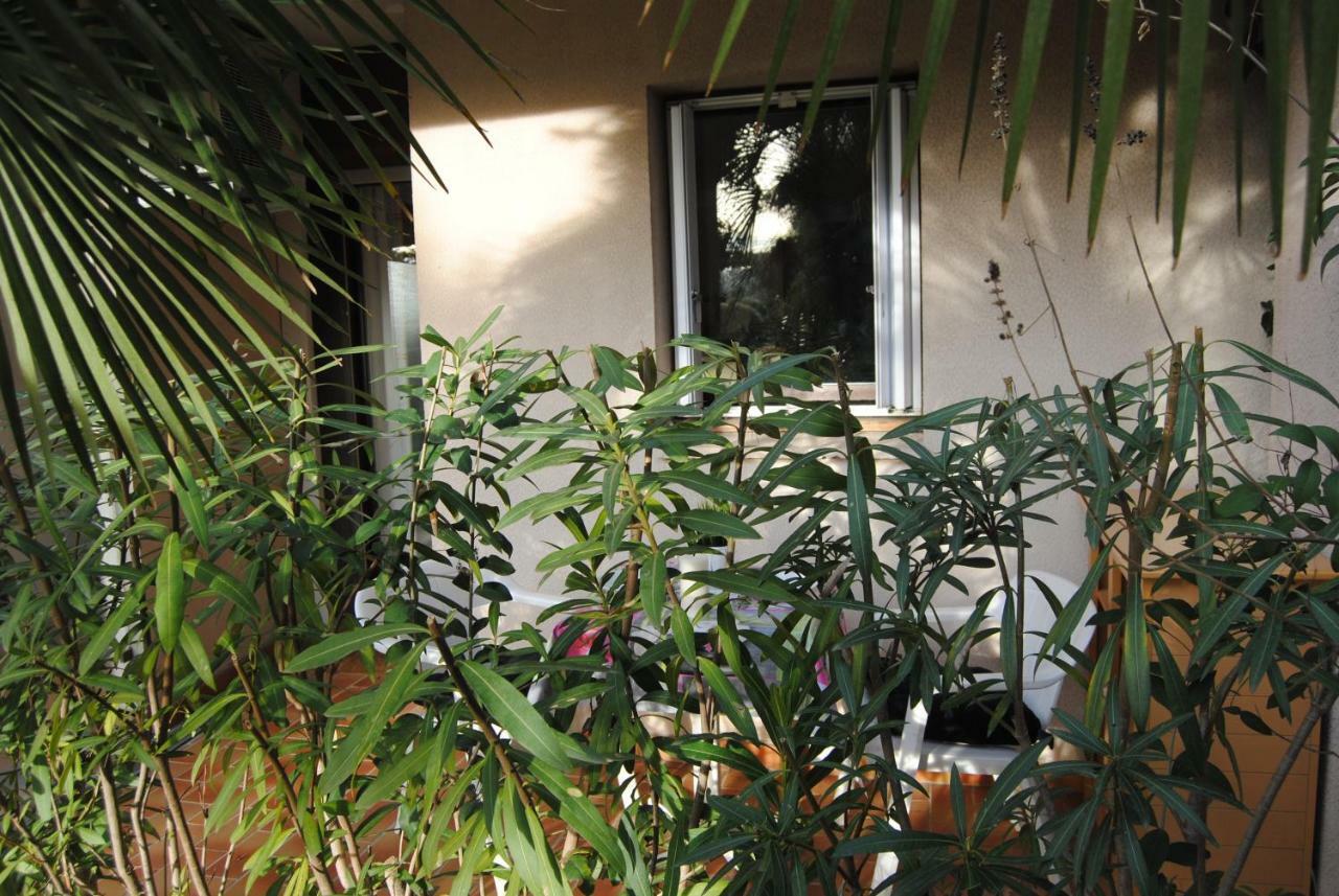 Appartement Les Palmiers à Nice Extérieur photo