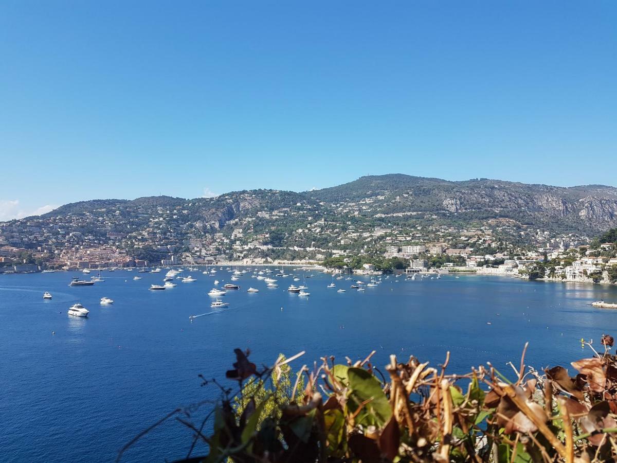 Appartement Les Palmiers à Nice Extérieur photo
