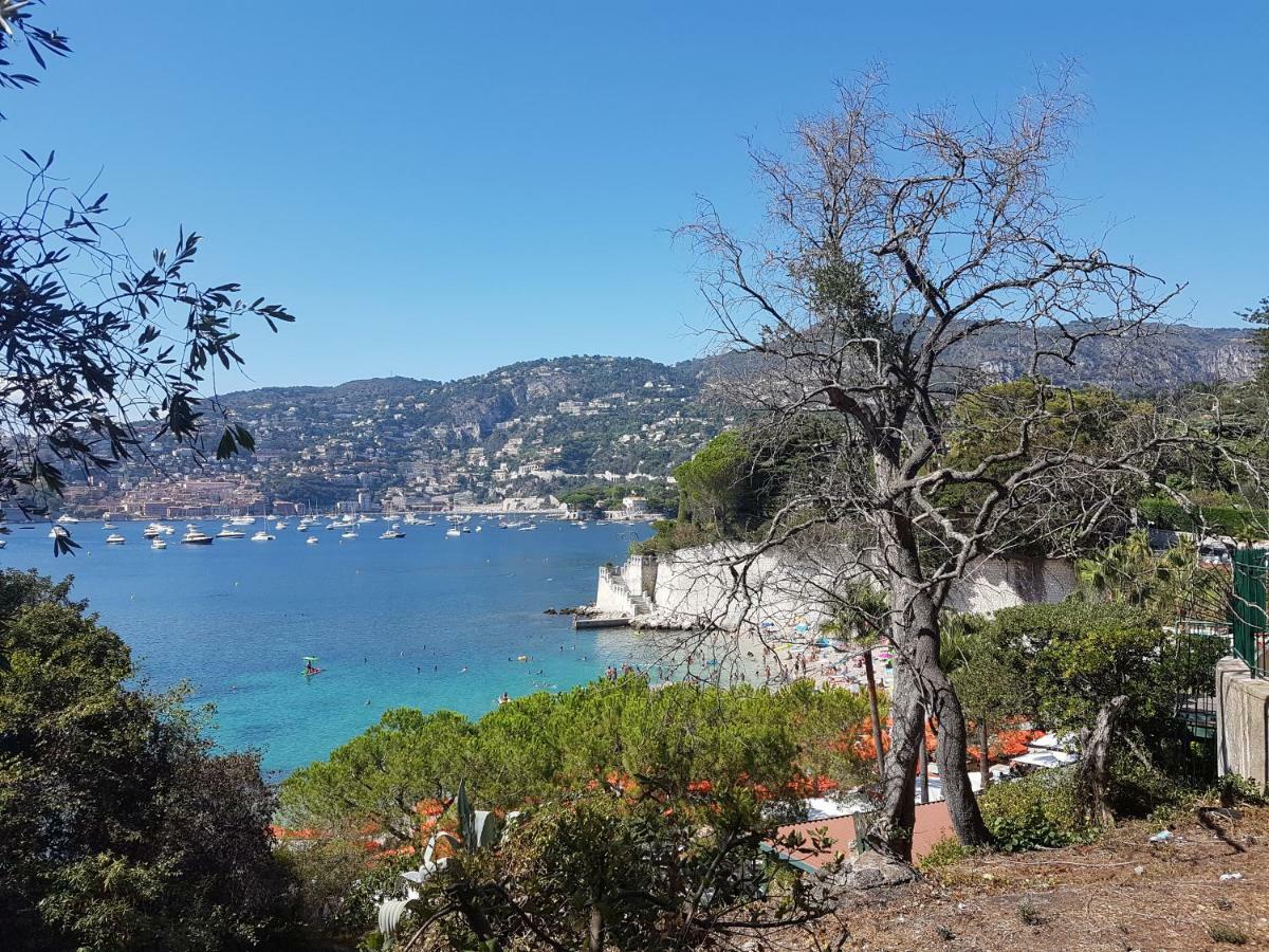 Appartement Les Palmiers à Nice Extérieur photo