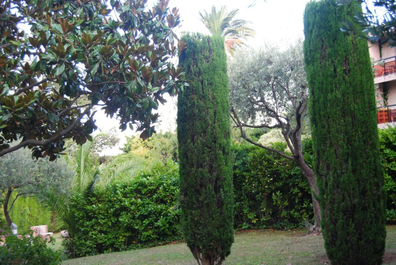 Appartement Les Palmiers à Nice Extérieur photo