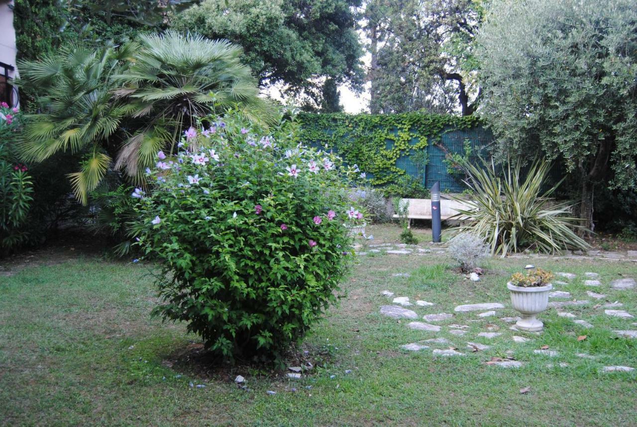 Appartement Les Palmiers à Nice Extérieur photo